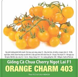 Hạt giống Cà chua Cherry vàng ngọt lai F1 Rado 403