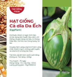 Hạt giống Cà dĩa da xanh - da ếch 0.5gr