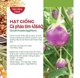 Hạt giống Cà pháo tím 0.5gr