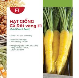 Hạt giống Cà rốt vàng 5gr
