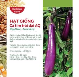 Hạt giống Cà tím trái dài Rado 205 - Gói 0.5gr