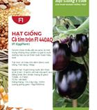 Hạt giống Cà tím tròn Rado 206 - Gói 0.5gr