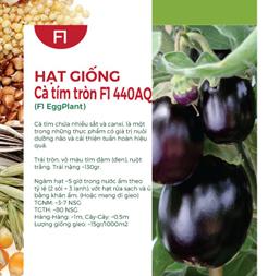 Hạt giống Cà tím tròn Rado 206 - Gói 0.5gr