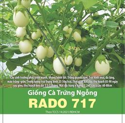 Hạt giống Cà trứng ngỗng - Gói 5gr