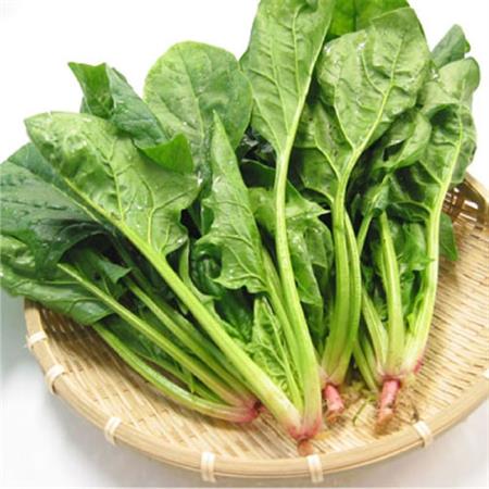 Hạt giống Cải bó xôi - Rau chân vịt