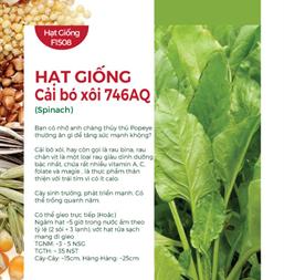 Hạt giống Cải bó xôi F1 Turkana 5gr