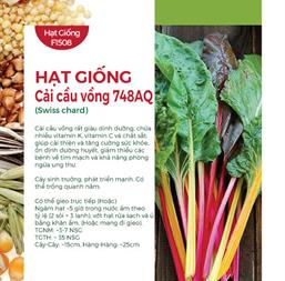 Hạt giống Cải cầu vồng 10gr