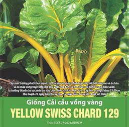 Hạt giống Cải cầu vồng vàng 10gr