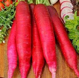 Hạt giống Củ cải dài đỏ 2gr