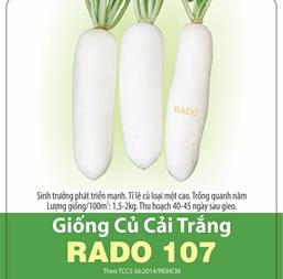 Hạt giống Củ cải trắng dài - Gói 100gr