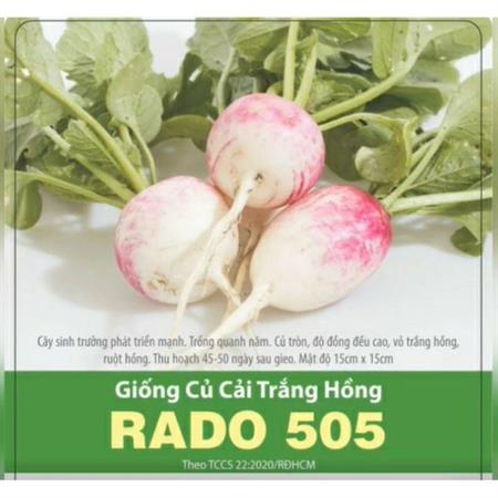 Hạt giống Củ cải tròn trắng hồng 1gr