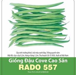 Hạt giống Đậu cove cao sản - Gói 100gr