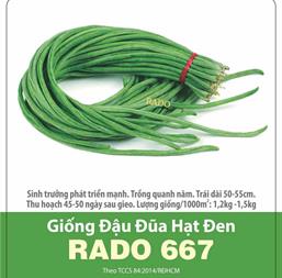 Hạt giống Đậu đũa hạt đen - Gói 100gr