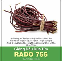 Hạt giống Đậu đũa tím 10gr