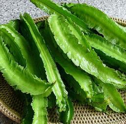 Hạt giống Đậu rồng 10gr