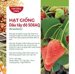 Hạt giống Dâu tây đỏ Etna 