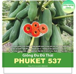 Hạt giống Đu đủ PHUKET 537