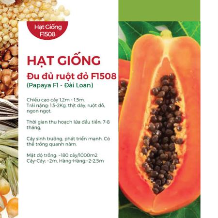 Hạt giống Đu đủ ruột đỏ Đài Loan F1 533AQ - Gói 100 Hạt