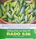Hạt giống Dưa chuột bao tử - 1gr