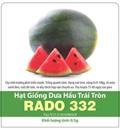 Hạt giống Dưa hấu trái tròn 10 hạt