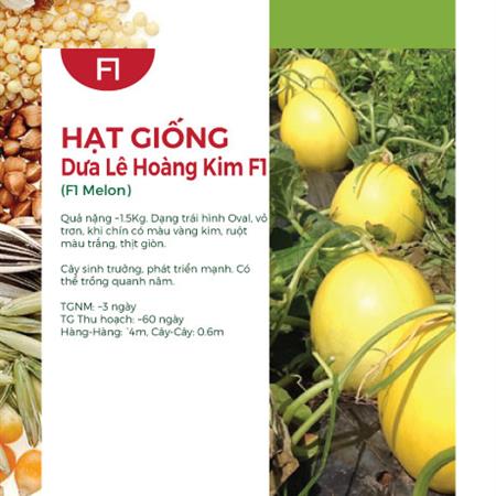 Hạt giống Dưa lê Hoàng Kim F1