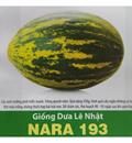 Hạt giống Dưa lê Nhật NARA 193 - Gói 0.5gr