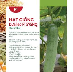 Hạt giống Dưa leo lai F1 Rado 758 - Gói 1gr