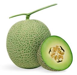 Hạt giống Dưa lưới ruột xanh 10 Hạt