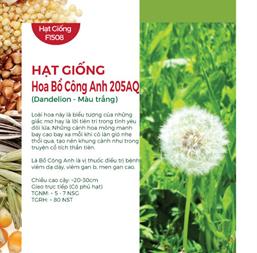Hạt giống hoa Bồ công anh