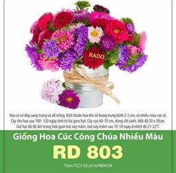 Hạt giống Hoa Cúc công chúa mix 0.1gr