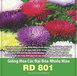 Hạt giống Hoa Cúc đại đóa mix 0.1gr