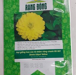 Hạt giống Hoa Cúc lá nhám vàng 0.1gr