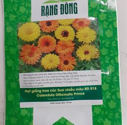 Hạt giống Hoa cúc Susi vàng cam