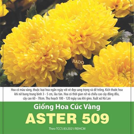 Hạt giống Hoa cúc vàng ASTER 509 - Gói 0.1gr