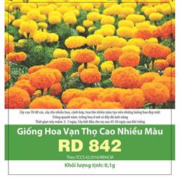 Hạt giống Hoa vạn thọ 2 màu 842 - Gói 0.1gr