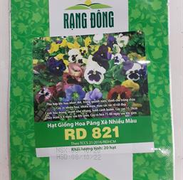 Hạt giống Hoa Viola mix