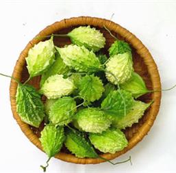 Hạt giống Khổ qua rừng - Gói 1gr