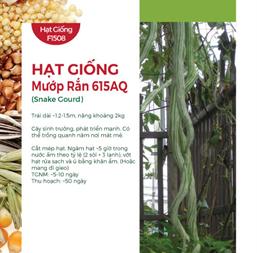 Hạt giống Mướp rắn - Gói 5 hạt
