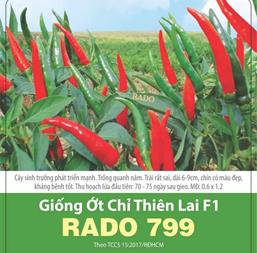 Hạt giống Ớt chỉ thiên Rado 799 - Gói 5gr