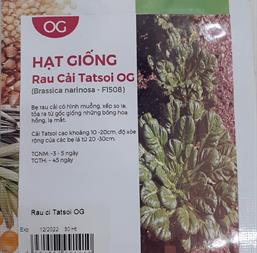 Hạt giống Cải hoa hồng - cải Tatsoi 5gr