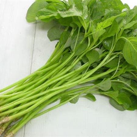 Hạt giống Rau dền xanh lá tròn