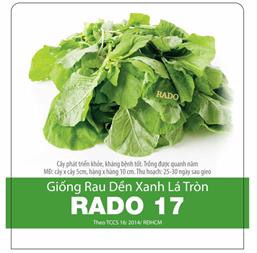 Hạt giống Rau dền xanh lá tròn - Gói 100Gr