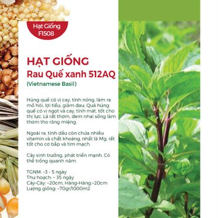 Hạt giống rau Quế xanh 512AQ