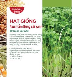 Hạt giống Rau mầm bông cải xanh 10gr