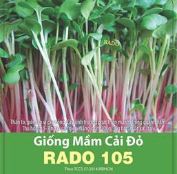 Hạt giống Rau mầm củ cải đỏ - Gói 1Kg