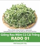 Hạt giống Rau mầm củ cải trắng hạt nhỏ - Gói 1Kg