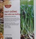 Hạt giống Rau mầm rau muống 100Gr