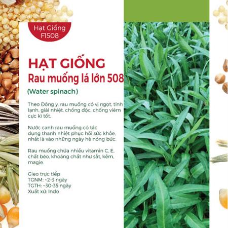 Hạt giống Rau muống lá lớn - Gói 100gr