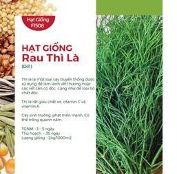 Hạt giống rau Thì Là 5gr