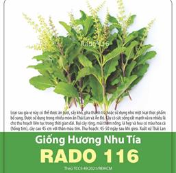Hạt giống Hương Nhu tía 1gr